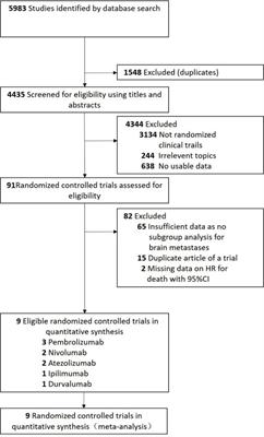 Association of Brain Metastases With Immune Checkpoint Inhibitors Efficacy in Advanced Lung Cancer: A Systematic Review and Meta-Analysis